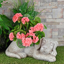 Load image into Gallery viewer, Grey stone sleeping dog garden planter filled with pink gernaium flowers in a garden with stone wall and grass
