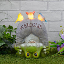 Load image into Gallery viewer, Novelty Welcome solar frog ornament with 3 birds lit up sitting on the frog&#39;s bottom, on grass beside a white wall and plants
