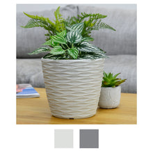 Load image into Gallery viewer, white weave plant pot on coffee table with fern foliage in front of sofa in living room

