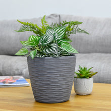 Load image into Gallery viewer, grey weave plant pot on coffee table beside smaller plant pot with fern foliage
